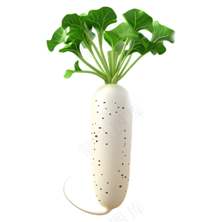 免扣白色绿色的萝卜