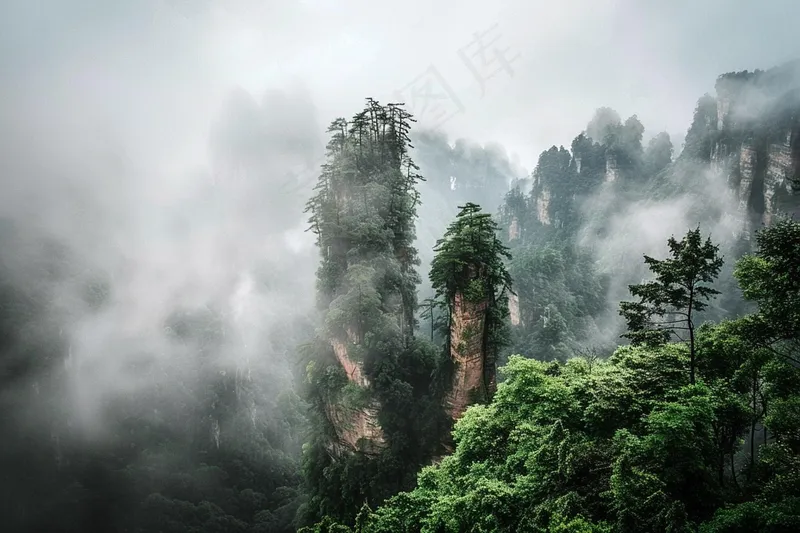 山林森林绿色大自然风景摄影图(4032x2688)