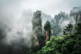 山林森林绿色大自然风景摄影图