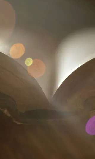 高清个性创意壁纸 (58)