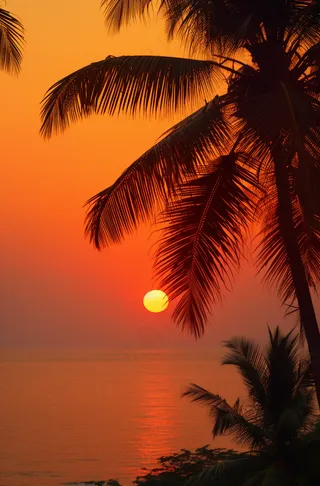 夏日沙滩椰树海边落日余晖晚霞摄影图