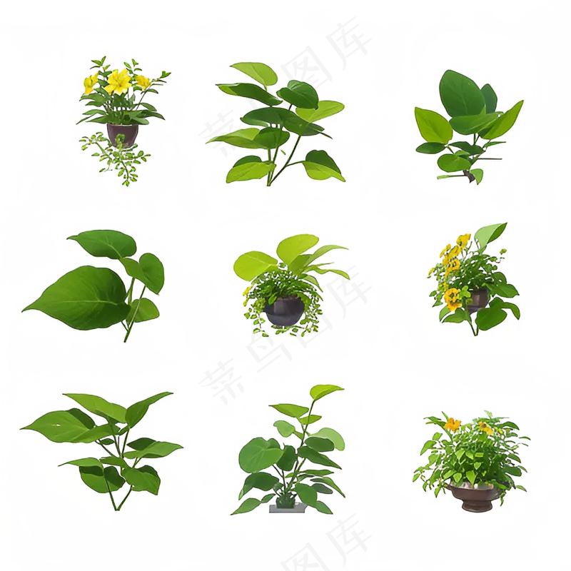 绿色手绘小植物花草系列免抠素材76