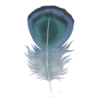 水彩羽毛免扣