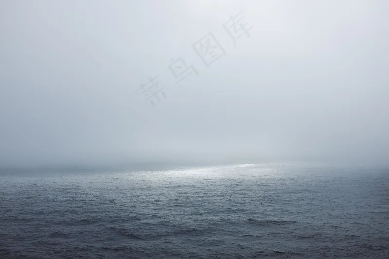 云雾森林图片