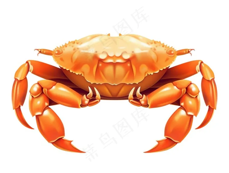 螃蟹卡通插画免抠(1264x960)