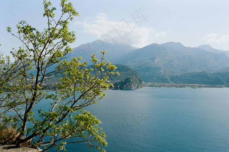 湖光山色间的盎然生机