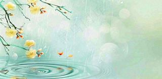 春天春暖花开梅雨季雨水谷雨黄花插画背景