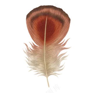 水彩羽毛免扣
