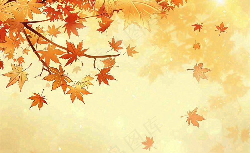 秋天红了的枫叶枫树落叶飘零立秋秋分黄色卡通插画背景(1408x864)