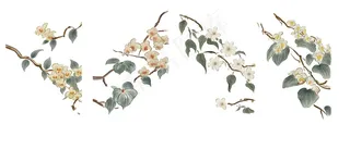 国画水墨风 花卉 素材4张 免抠 透明底