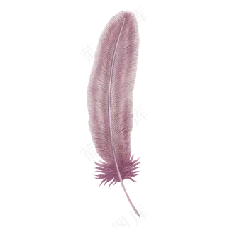 水彩羽毛免扣