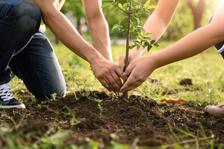 植树树苗保护环境摄影图