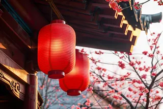 春日樱花花朵摄影图