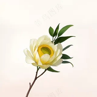 白色黄色手绘新中式风格花植物123