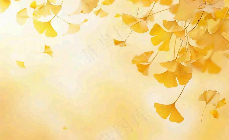 秋天银杏树黄叶落叶立秋秋分手绘插画背景(1408x864)
