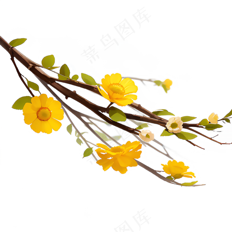 黄色 唯美 手绘 免抠 PNG 花 植物 素材28