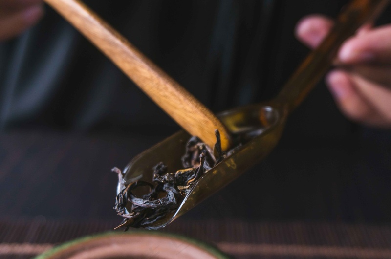 投壶投茶茶叶饮品