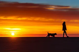 夕阳落日下遛狗的人海边沙滩晚霞摄影图