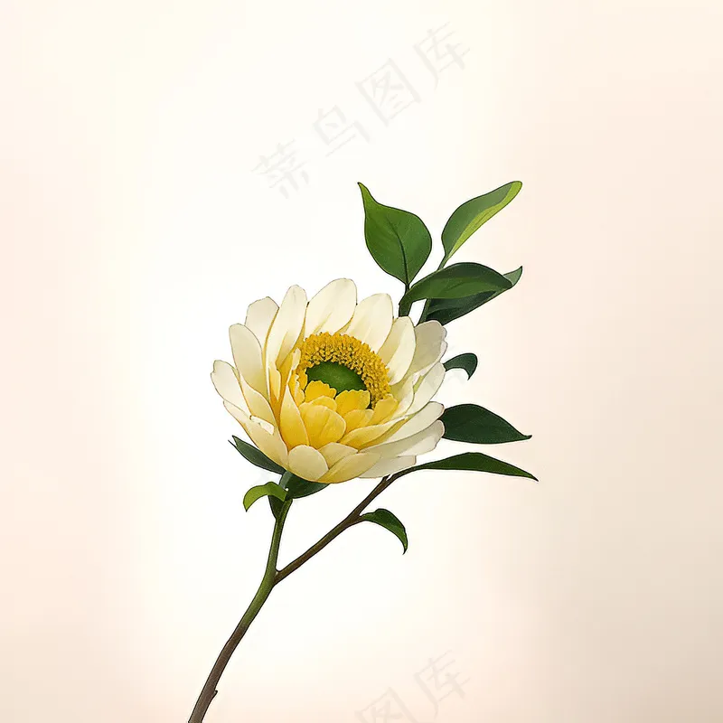 白色黄色手绘新中式风格花植物25