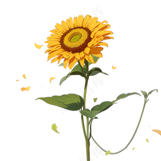 黄色向日葵免抠素材74