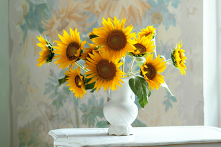 向日葵向阳鲜花摄影图