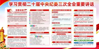 二十届*纪委三次全会1-1