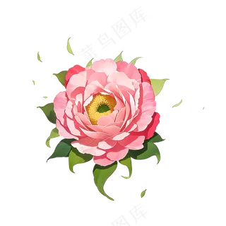 粉色花朵桃花玫瑰免抠素材40