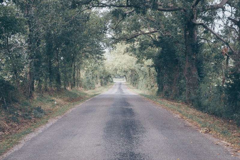 僻静的林间柏油路