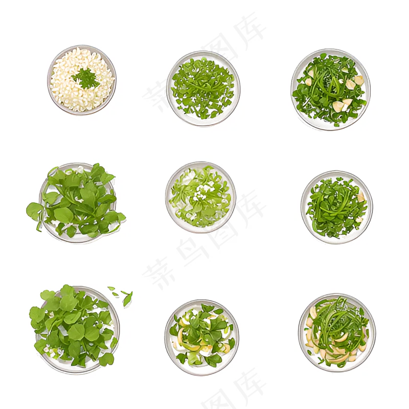 手绘练习小植物花草系列26
