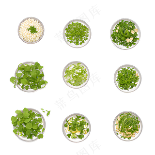 手绘练习小植物花草系列26