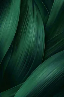 绿色纹理叶子墨绿端午夏天插画纹理背景