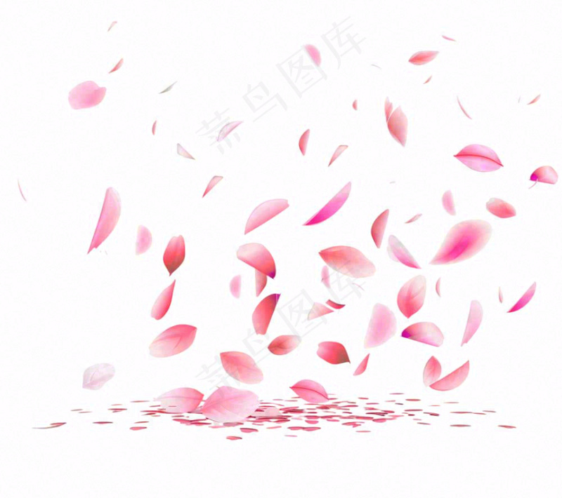 花瓣桃花樱花飘零插画免抠(1152x1024)