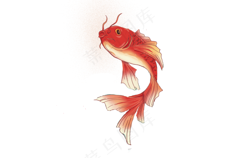 手绘红色吉祥鲤鱼PNG素材