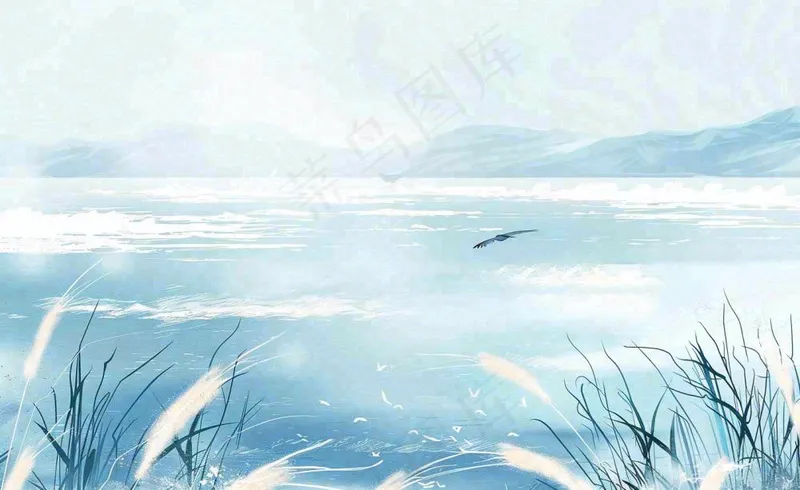 唯美白露插画白鹭动物风景秋天景色寒冷清冷芦苇丛寒露背景(1408x864)