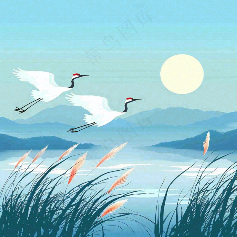 白鹭齐飞天水一色山水画芦苇荡清冷白露寒露插画背景(1024x1024)