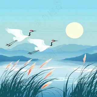 白鹭齐飞天水一色山水画芦苇荡清冷白露寒露插画背景