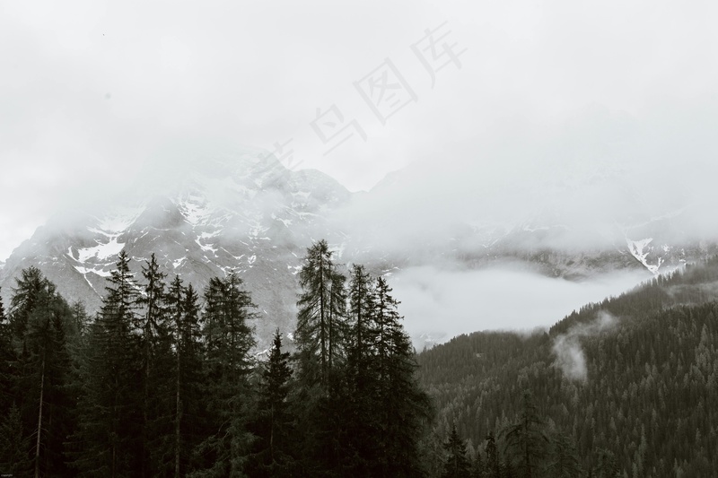 云雾缭绕的山脉与森林
