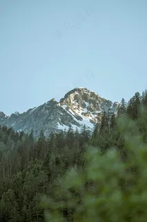 雪山下的森林 雪山下的森林