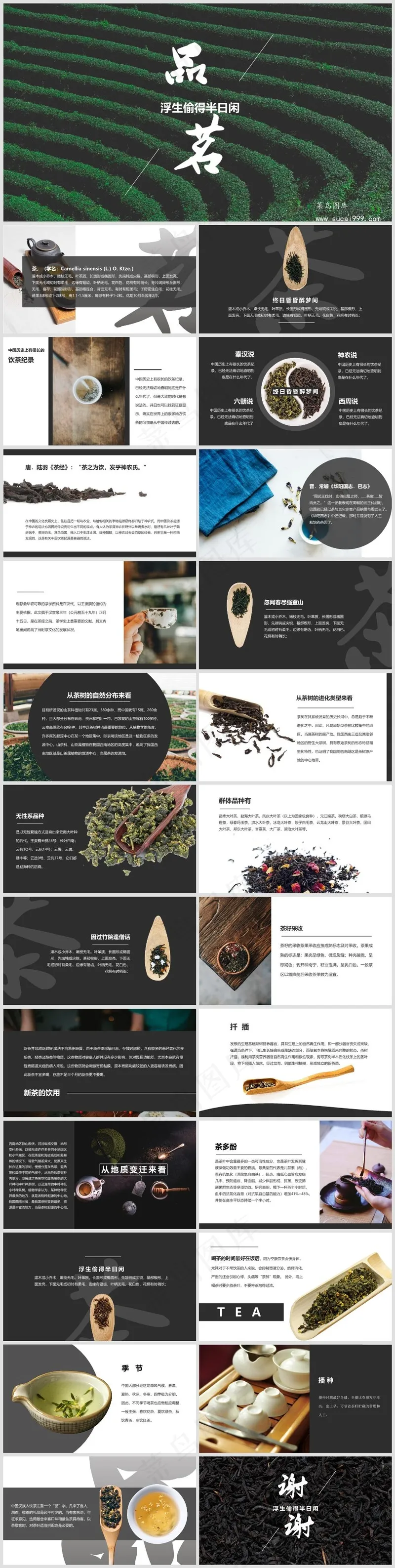 画册中国风宣传演示PPT模板丨优雅诗意丨莫兰迪色系丨展览宣传