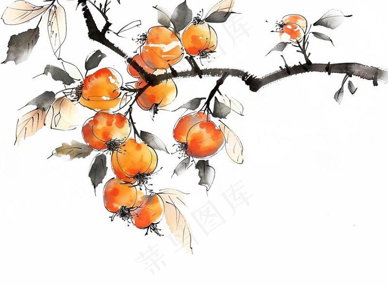 柿子杏树水墨画中国风插画免抠(1280x944)