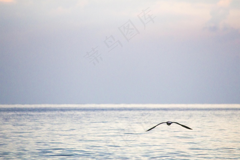 大海沙滩图片