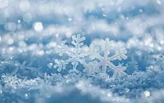 冬天雪花闪耀素材唯美立冬冬至小雪大雪摄影图