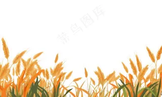 秋季小麦麦穗稻谷麦穗手绘卡通插画免抠