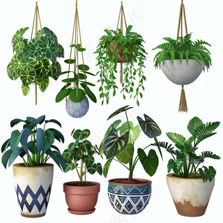 室内盆栽绿植装饰品类摄影图