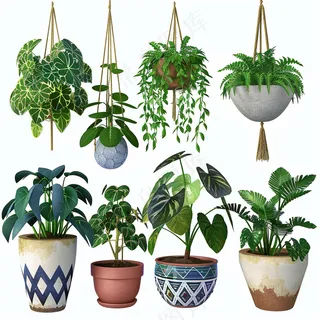 室内盆栽绿植装饰品类摄影图