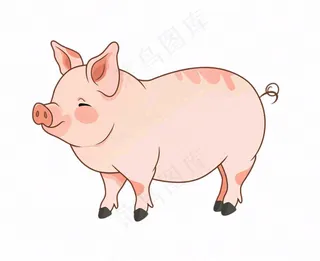 猪牲畜动物卡通插画免抠