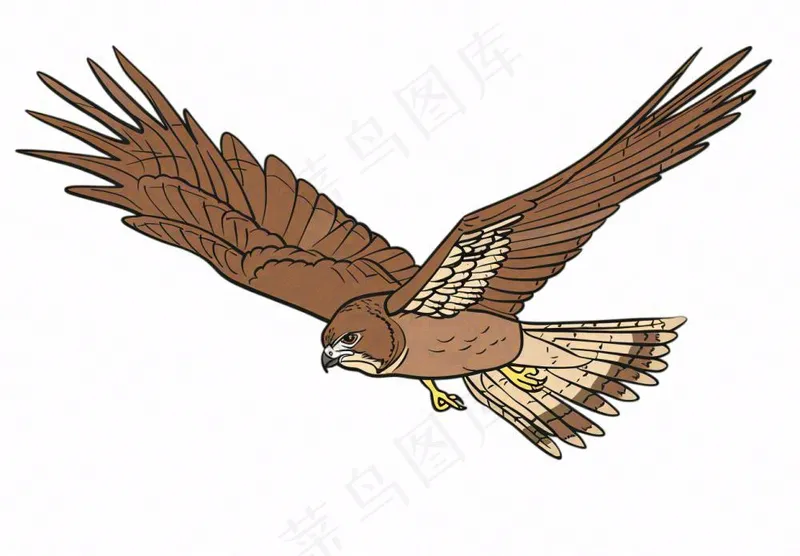 老鹰鸟类卡通插画免抠(1312x912)