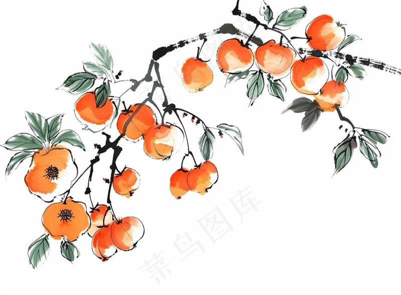 柿子杏树水墨画中国风插画免抠(1280x944)