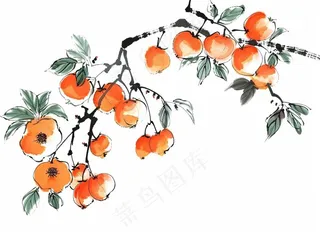 柿子杏树水墨画中国风插画免抠