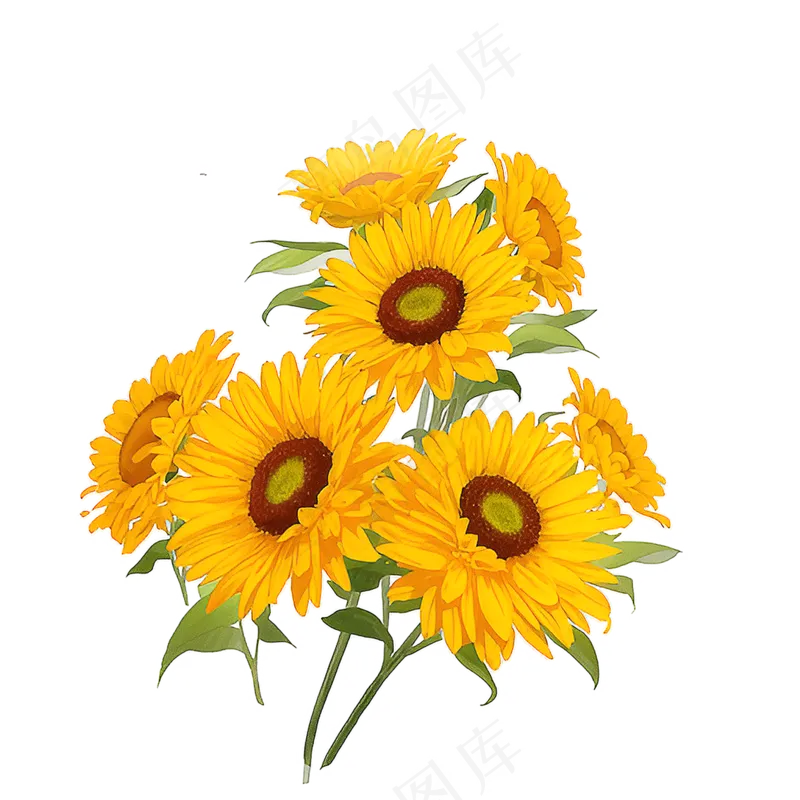 金色向日葵花丛素材16